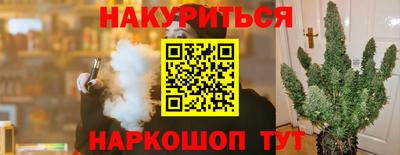 Альфа ПВП Будённовск
