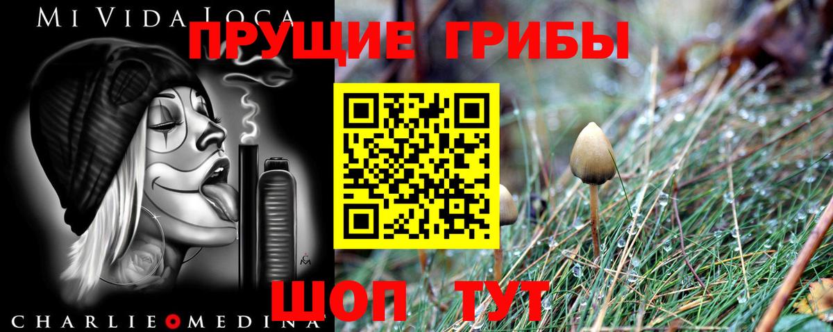 Югорск  Псилоцибиновые грибы Magic Shrooms  Вход с VPN 